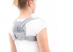 Chest section of the spine