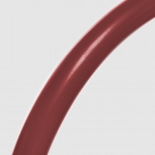 PARAPION special needs standing frame red tube