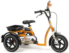 Tricycle for children with special needs Vermeiren SAFARI 
