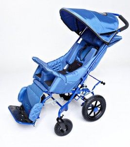 Folding roof and cover for special buggy 