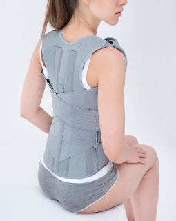 TORSO SUPPORT AM-WSP-02