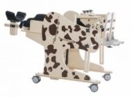 Rehabilitation standing frame with chair function for disabled children DALMATIAN 